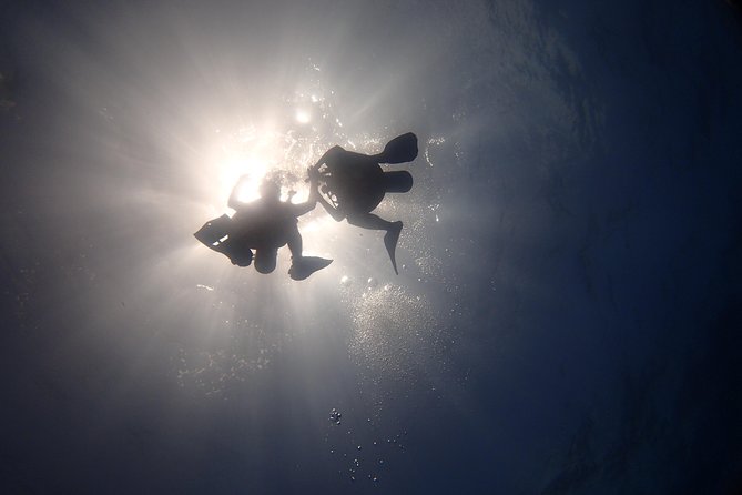 Diving in the Mexican Caribbean for Beginners | 2 Tanks 2 Dives | All Inclusive - The experience is organized, but the day is not short