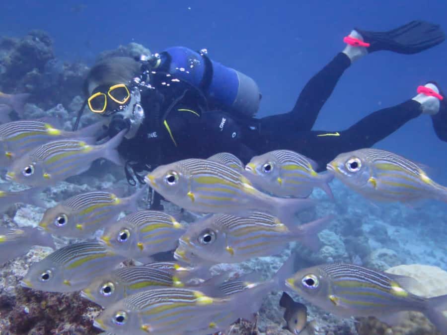 Diving in the North with Blue World Adventures - Equipment, comfort, and what to bring