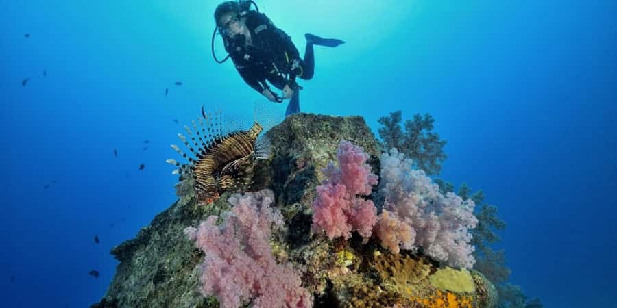 Diving in the North with Blue World Adventures - Meeting the northern coast below the surface