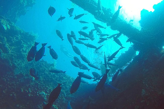 Diving in Tulamben - Key points to know before you book