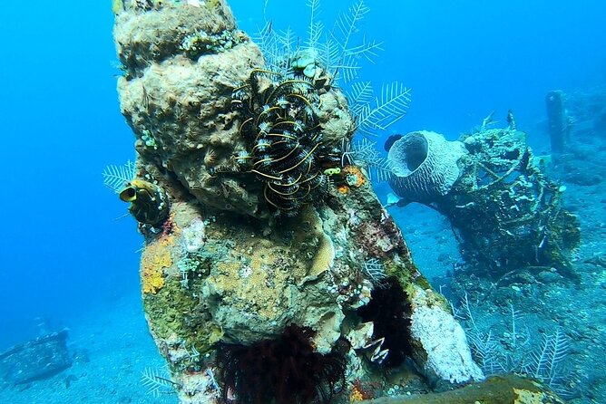 Diving in Tulamben - The early pickup and two-hour road journey