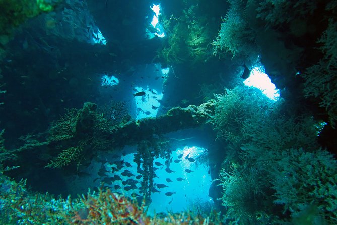 Diving in Tulamben - Lunch beside the beach and time to reset