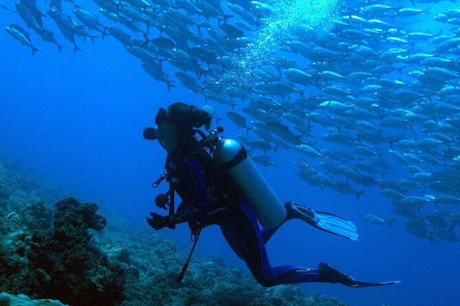 Diving initiation - What the two-hour Tahiti initiation includes