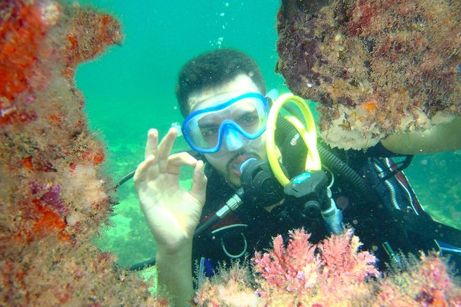 Diving initiation (Initiation) - Starting at Club de Plongée La Sirène