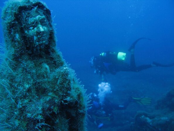 Diving + Muse - Key points to know before you book
