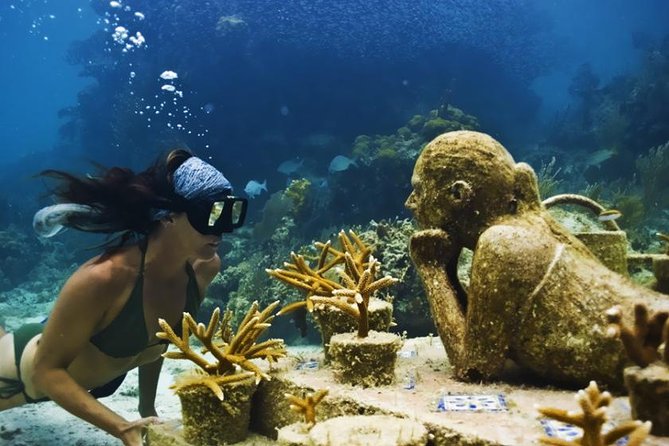 Diving + Muse - Isla Mujeres brings the reef into the picture