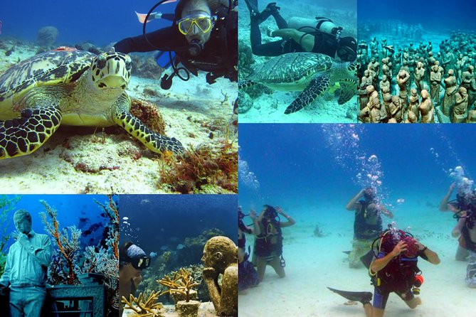 Diving + Muse - What the $154 price really covers
