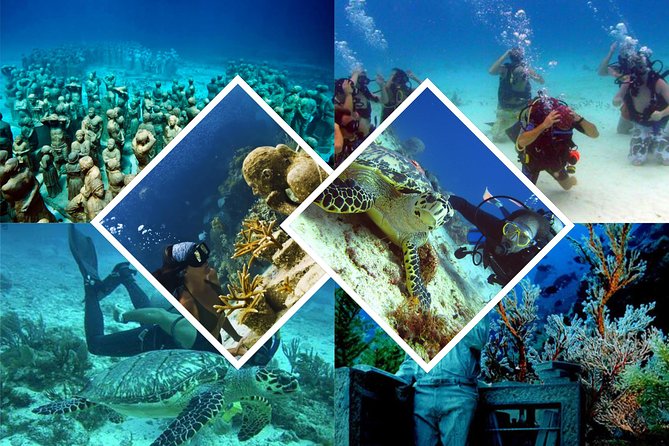 Diving + Muse - The meeting point and what to bring