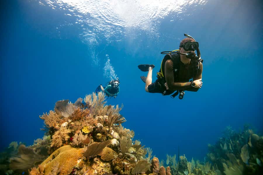 Diving Santa Marta & Tayrona for Certified Divers (2 tanks) - Key points to know before booking
