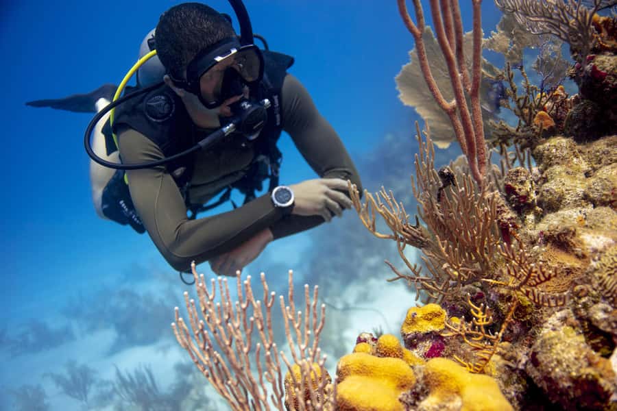 Diving Santa Marta & Tayrona for Certified Divers (2 tanks) - Setting out from Santa Marta’s marina