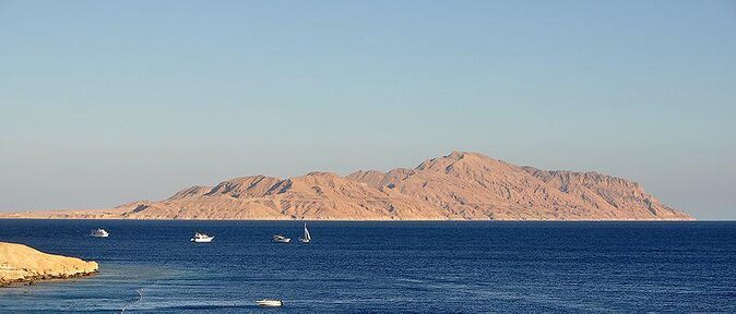 Diving & Snorkeling Boat trip to Tiran Island Sharm El Sheikh - Key points at a glance