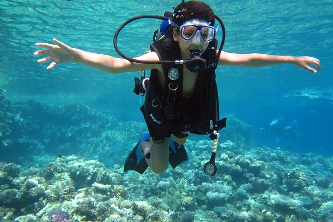 Diving & Snorkeling Boat trip to Tiran Island Sharm El Sheikh - What happens at the two or three snorkeling stops