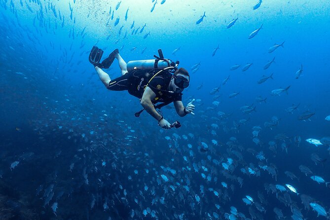 Diving Tour for Certified Divers: Sail Rock or Koh Tao - Lunch, drinks, and supplied equipment