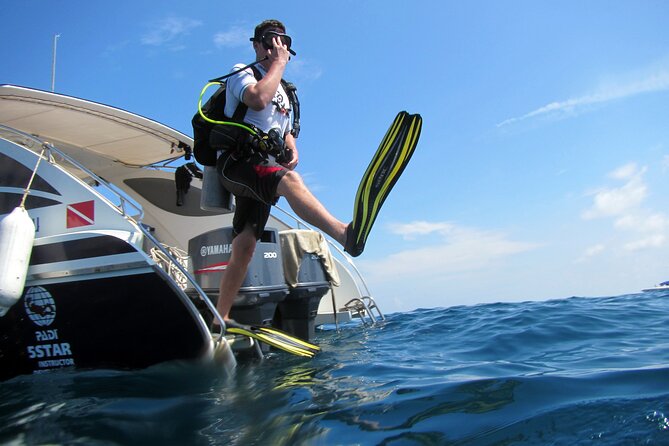 Diving Tour for Certified Divers: Sail Rock or Koh Tao - Starting at the Silent Divers pier at 9:00 am