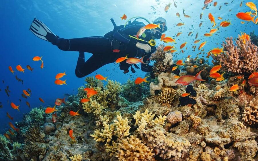 Diving Tour from Alanya & Side with Lunch - 2 Dives Included - Key points to know before booking