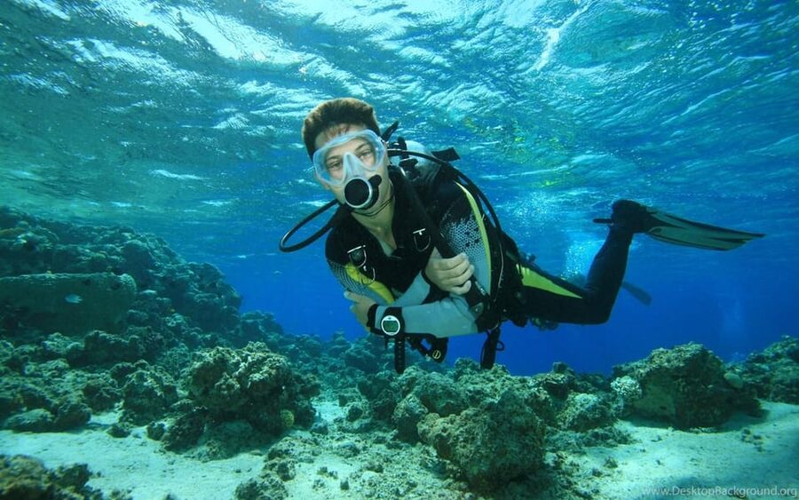 Diving Tour from Alanya & Side with Lunch - 2 Dives Included - What this Side and Alanya scuba outing is really like