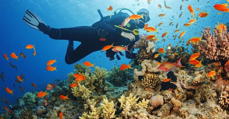 Diving Tour from Alanya & Side with Lunch - 2 Dives Included - Safety, instructions, and who should avoid it