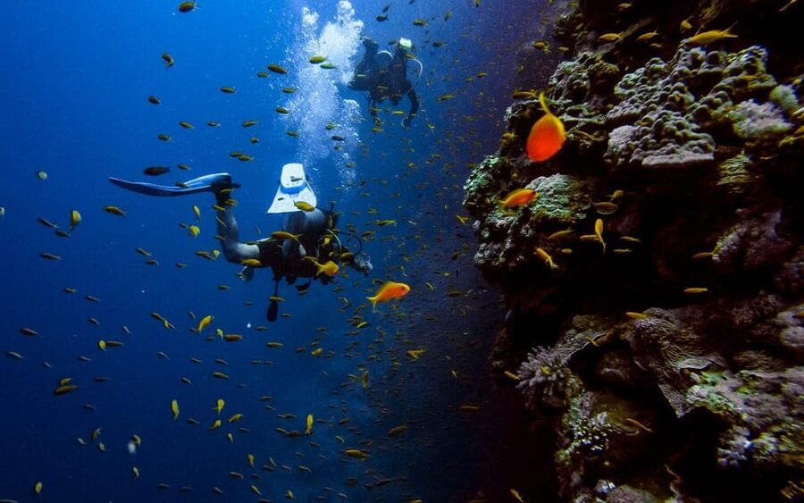 Diving Tour from Alanya & Side with Lunch - 2 Dives Included - What the $52 price includes