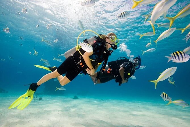 Diving Tour from Antalya or Kemer with Lunch - Key points to know before booking