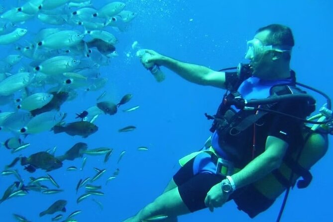 Diving Tour from Antalya or Kemer with Lunch - What is included for $49