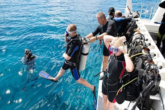 Diving Tour from Antalya or Kemer with Lunch - Aquarium Bay at Phaselis: an easy first underwater session