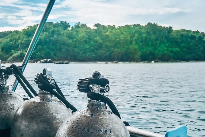Diving tour in Isla del Caño for certified divers - Key points to know before booking