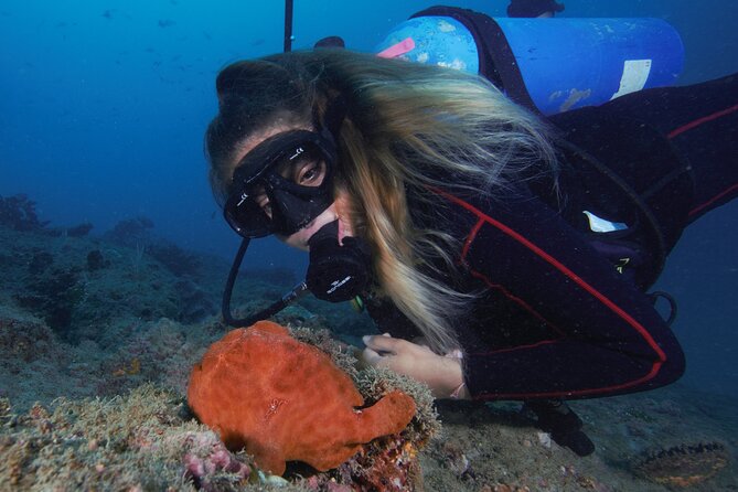 Diving tour in Isla del Caño for certified divers - Why Isla del Caño is worth the early start
