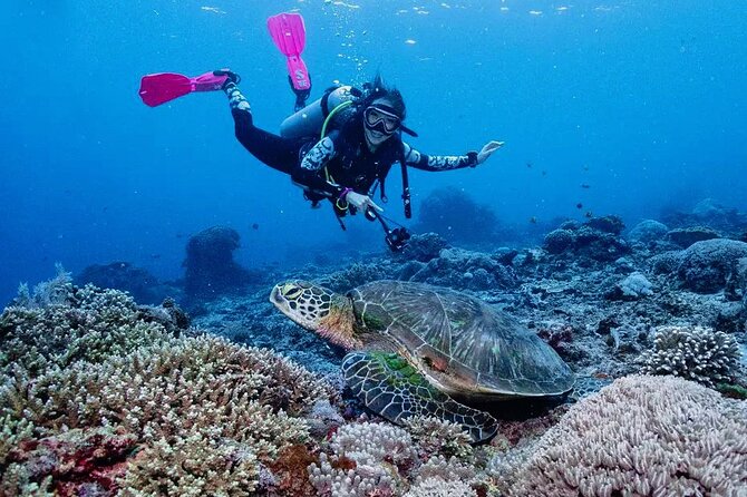 Diving with Manta Ray at Nusa Penida - What the $120 price really covers
