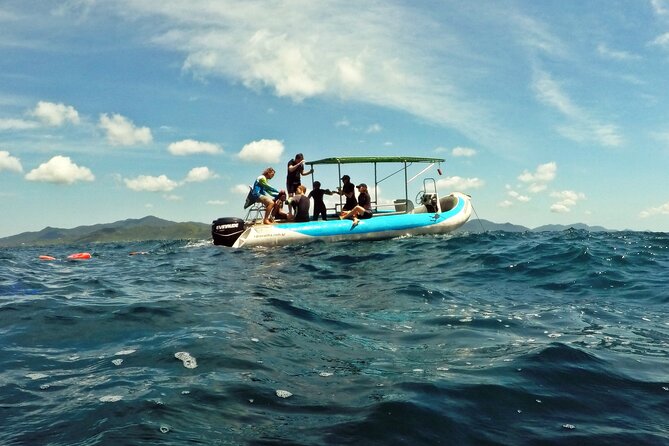 Diving with Turtles in Floripa - What you may see around Xavier Island