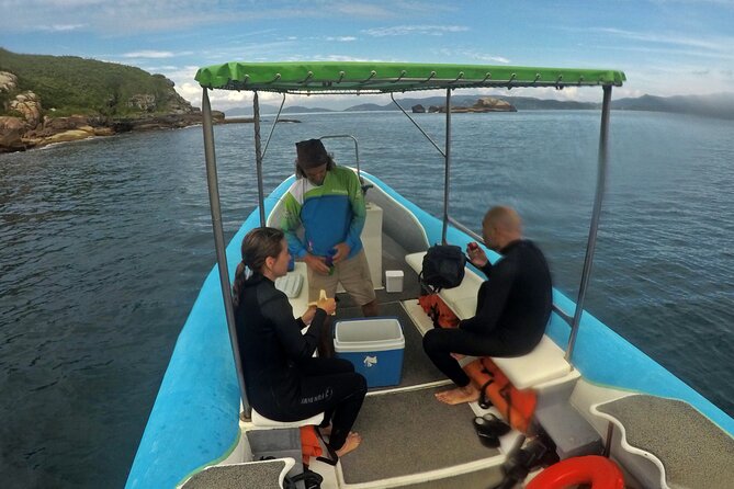 Diving with Turtles in Floripa - Snorkeling and the natural pools at Barra da Lagoa