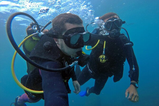 Diving with Turtles in Floripa - A 30-minute underwater session with real support