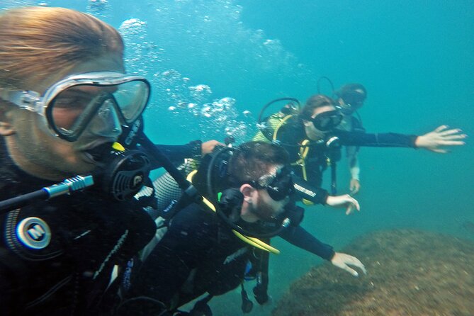 Diving with Turtles in Floripa - Fruit, water, and the return to Barra da Lagoa