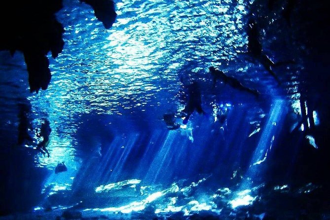 Dos Ojos Cenote Cavern Dive- The Barbie Line and The Bat Cave - The Bat Cave: a second view of Dos Ojos