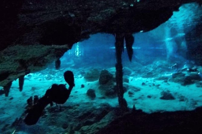Dos Ojos Cenote Cavern Dive- The Barbie Line and The Bat Cave - The Barbie Line: a gentle introduction to the setting