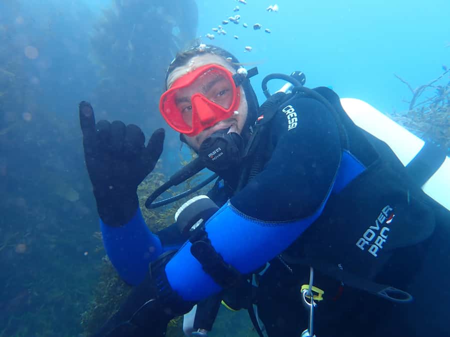 Double Boat Dive with Equipment - Why Kaikoura works so well for underwater exploring
