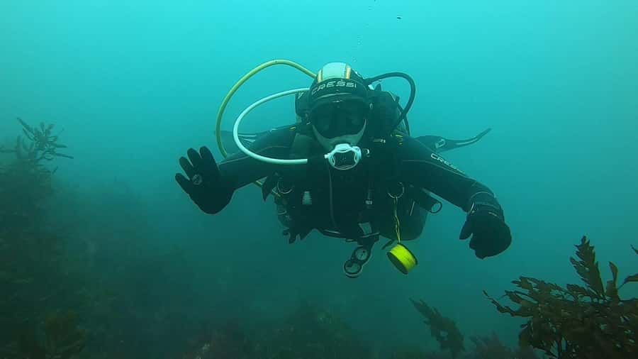 Double Boat Dive with Equipment - First one-hour session beneath the surface