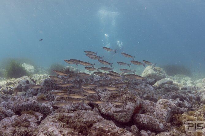 Double Discover Scuba Diving - The theory session prepares you for the sea