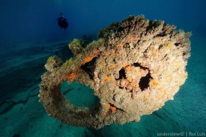 Double dive in the Algarve. Don't stop on the beach! - What the $161.95 price delivers