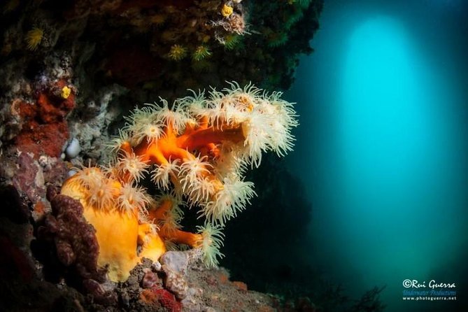 Double dive in the Algarve. Don't stop on the beach! - Weather and the limits of flexibility