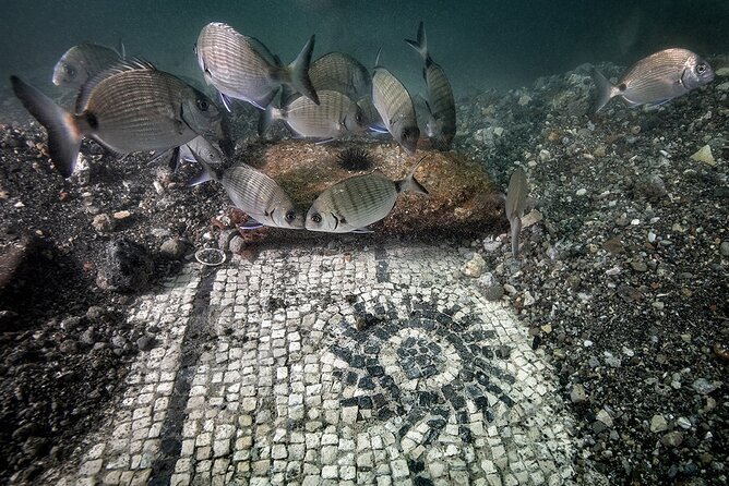 Double Dive in the Bay Park for certified divers - Tempio di Venere and the first underwater site