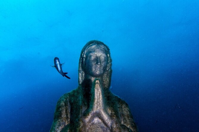 Double dive in the Punta Campanella Marine Protected Area - Why Punta Campanella Is a Special Place to Go Underwater