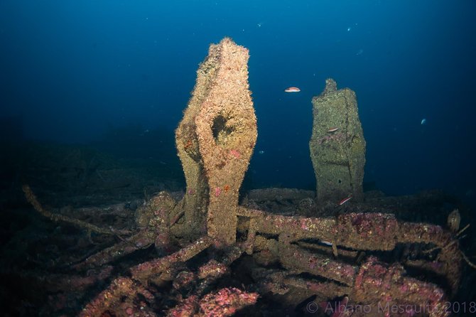 Double Dive the Fantastic Ocean Revival Park - Key points to know before booking