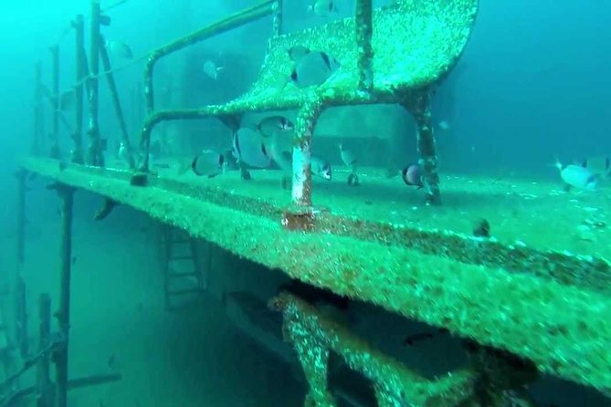 Double Dive the Fantastic Ocean Revival Park - A small group changes the experience