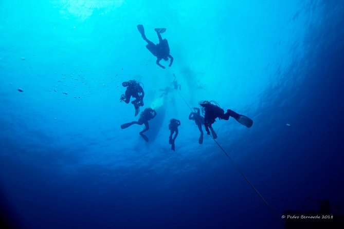Double Dive the Fantastic Ocean Revival Park - Is $162.60 a fair price?