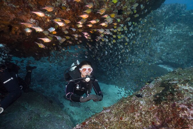 Double Dive to South Solitary Island Coffs Harbour - Key points to know before booking