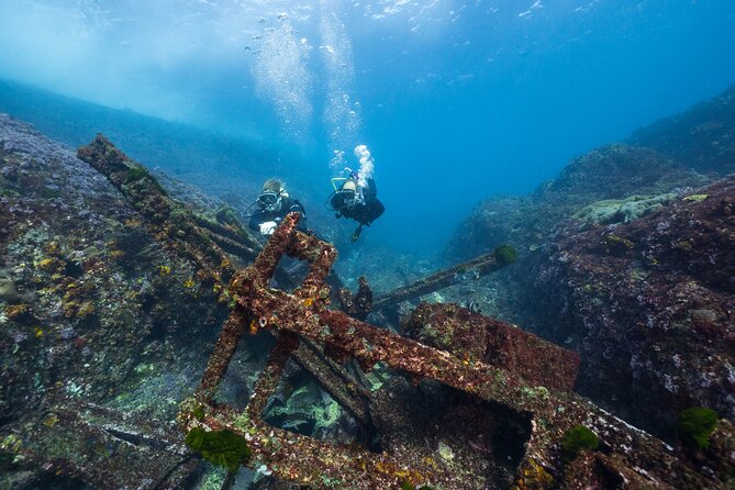 Double Dive to South Solitary Island Coffs Harbour - Starting at Jetty Dive Centre at 7:30 am