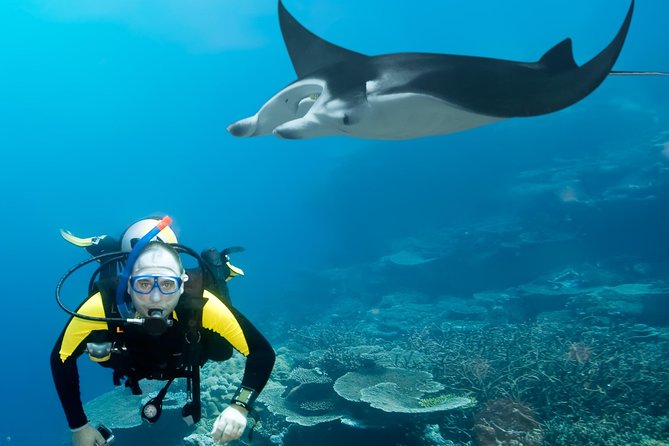Double Diving in Sal Island - Half Day - Who will enjoy this morning most