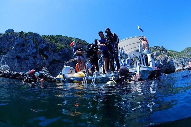 Double dream dive on a Maritime Reserve - What Makes This Sesimbra Underwater Trip Special