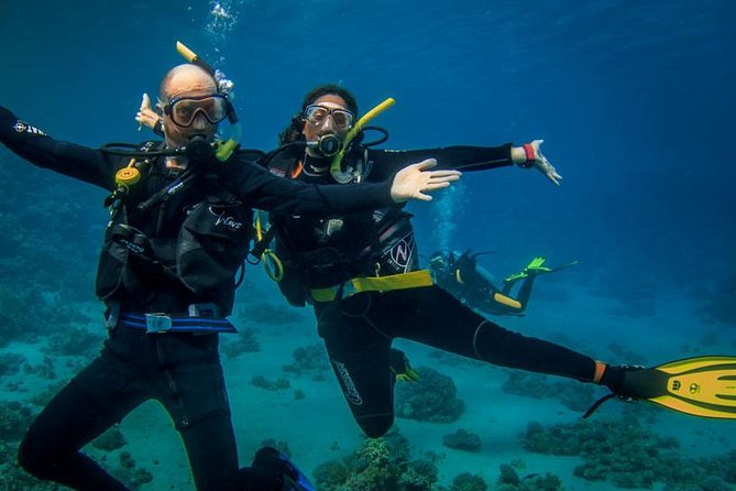 Double dream dive on a Maritime Reserve - The 60 to 90 Minute Preparation Period