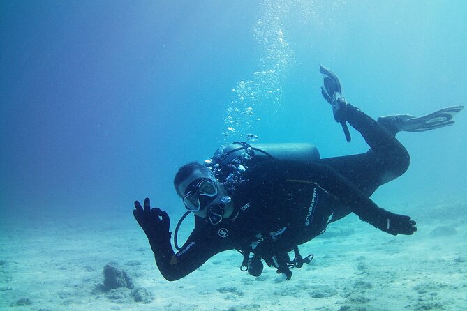 Double Shore Dive (certified divers) - From Piraeus to Athens’ Shore Sites